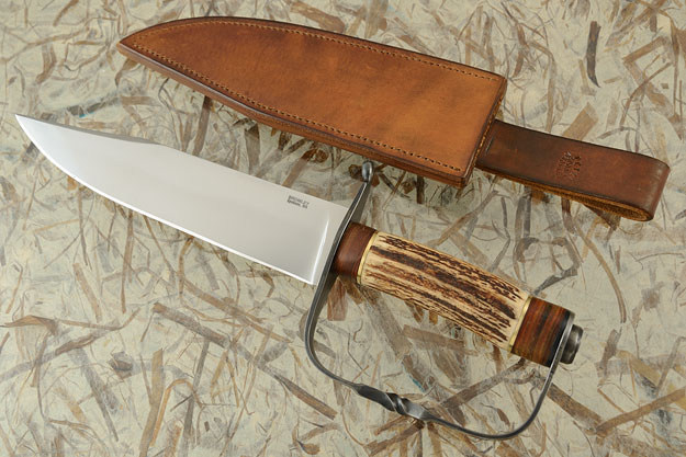 D Guard Bowie with Sambar Stag